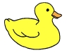 Duck2.jpg